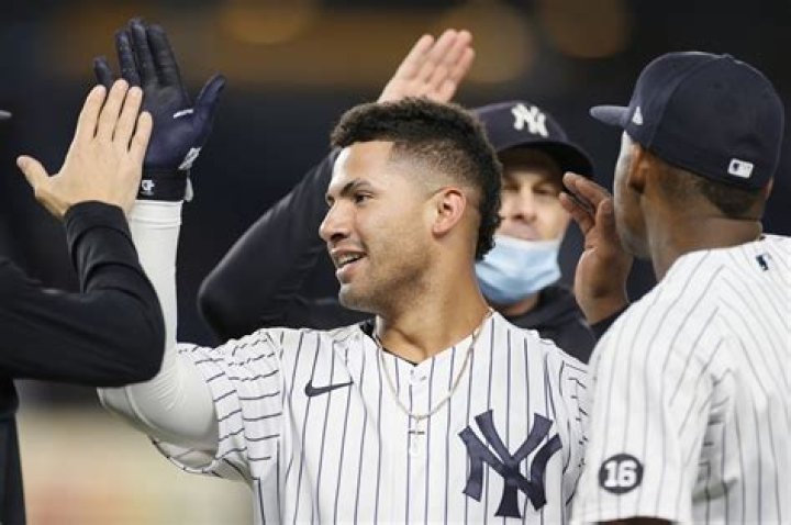Gleyber Torres Bio (Wiki) 
