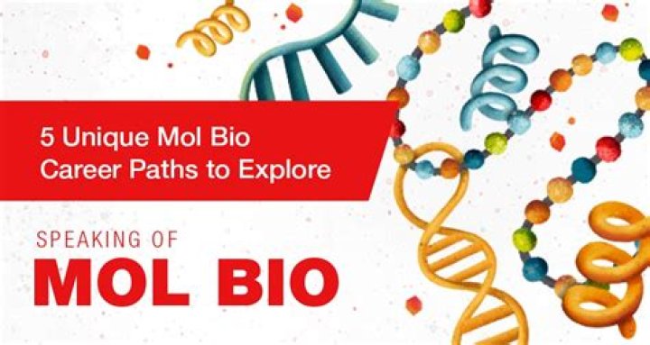 Gretchen Mol Bio (Wiki) 