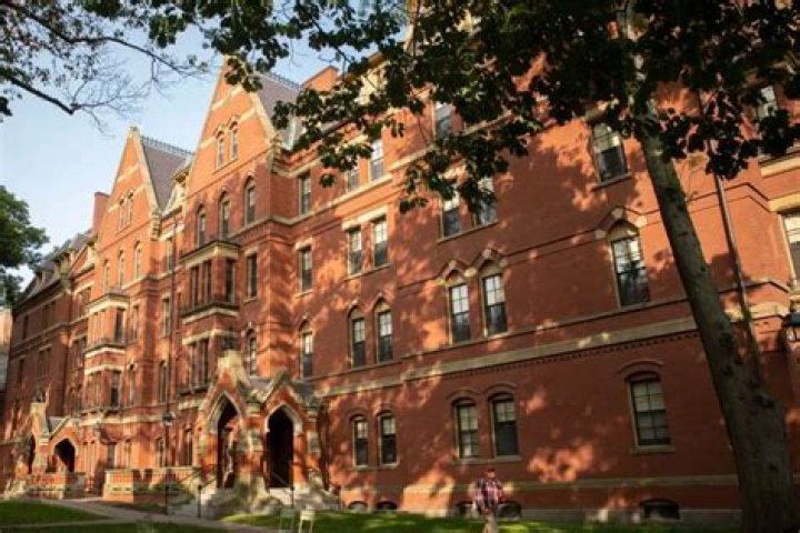 Harvard Sophomore, Luke Balstad, dies at 25 at his home in Michigan