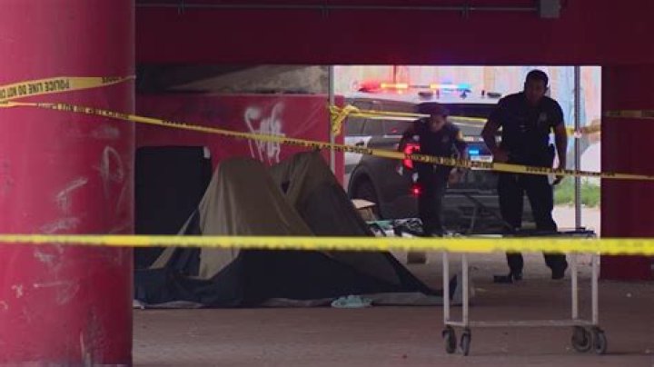 
Homeless man shot dead after he asked suspect for pizza slice 