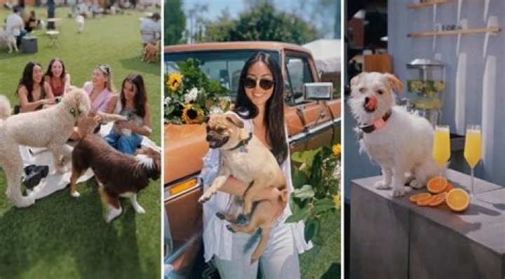 Hot Dogs Only – Check Out DOG PPL, The Hottest Canines-Only Club (Santa Monica, California)
