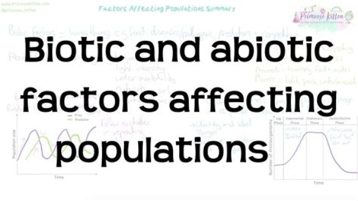 How do biotic and abiotic factors affect population?
