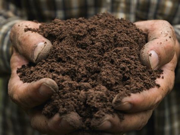 How do you get ingrained dirt off your skin?
