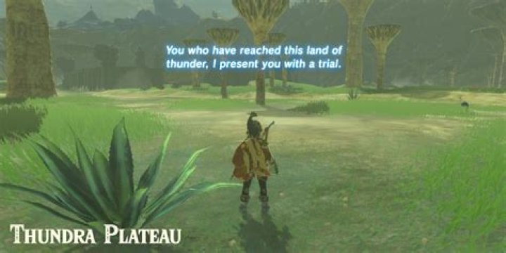 How do you get the rind off of a ham?