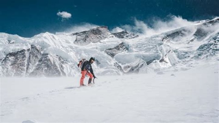 How do you keep Sherpa from matting?