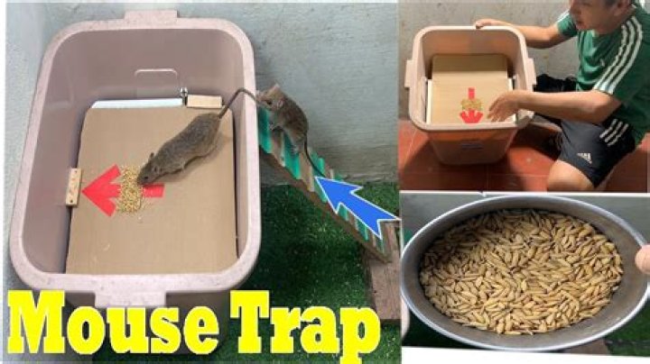 How do you make a mousetrap car go fast and far?