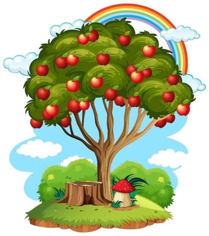 How do you tell the difference between a pear tree and an apple tree?