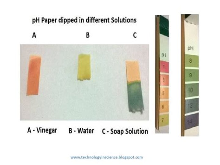 How does the pH paper work?