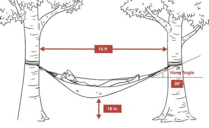 How high do you hang a hammock?