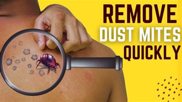 How long does it take Bravecto to kill mites?