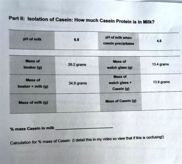 How many grams of casein is in Greek yogurt?