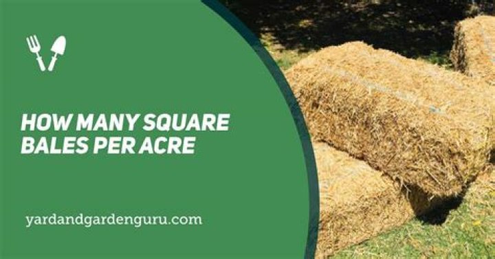 How many square bales can you get per acre?
