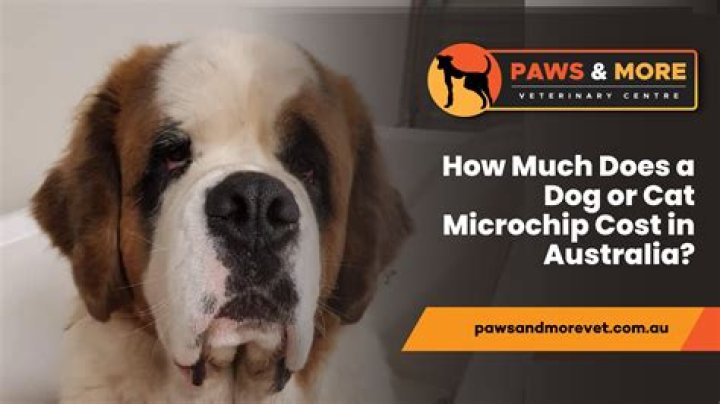 How much does it cost to flash a ECM?