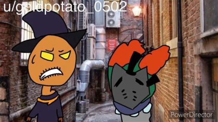 Ice-T vs. Aimee Mann: The Great Twitter War