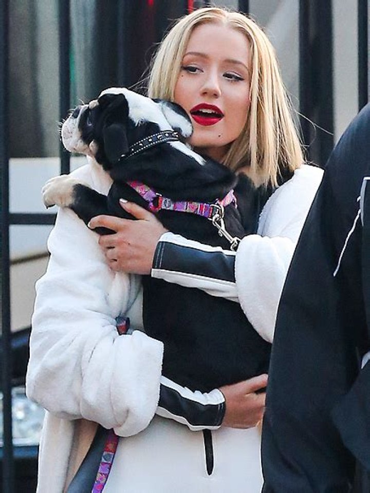 Iggy Azalea Pets - Celebrity Pets
