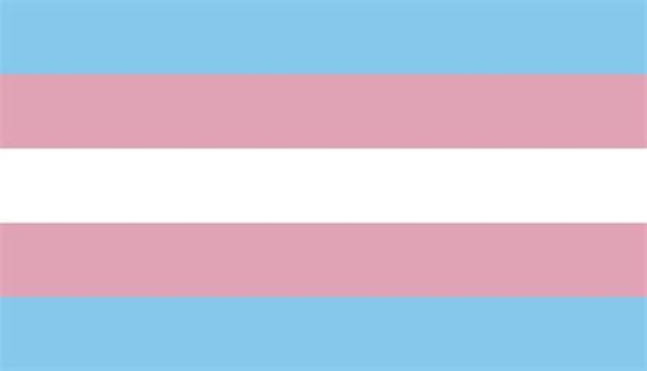 Is Pink Gay Or Bi? What She Said About Her Sexuality?