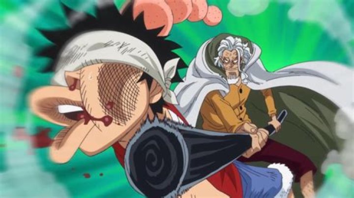 Is Rayleigh related to Luffy?