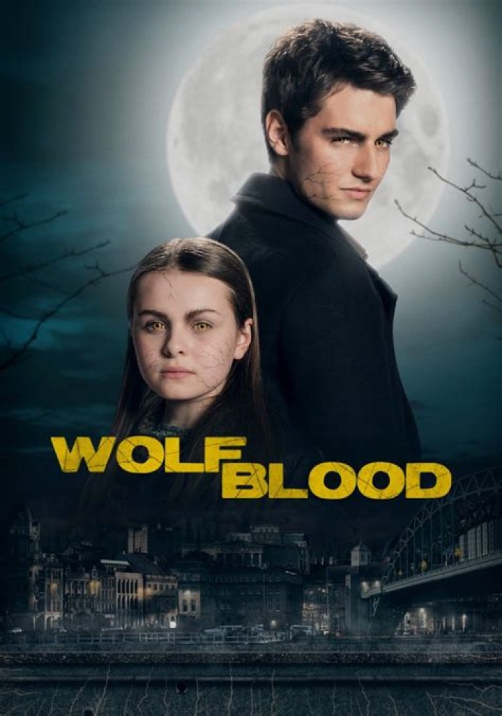 Is rhydian in Season 4 of Wolfblood?