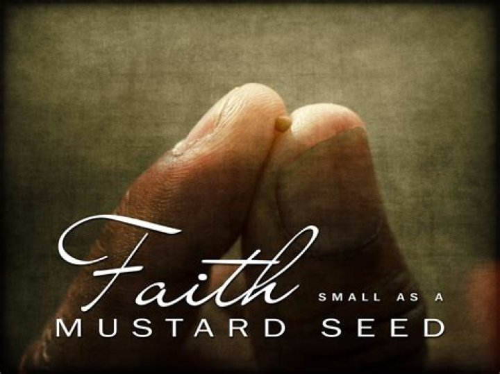 Is there a seed smaller than a mustard seed?