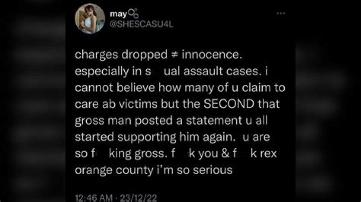 
“Isn’t the flex you think it is”: Rex Orange County fans slammed for celebrating dropped charges against singer 