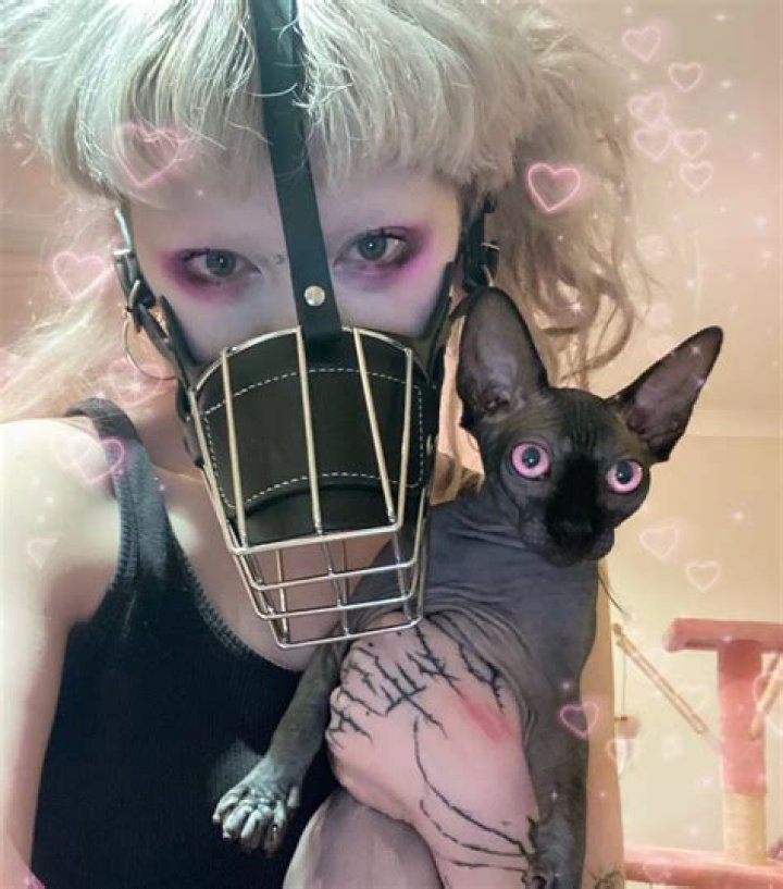 Jazmin Bean Pets - Celebrity Pets