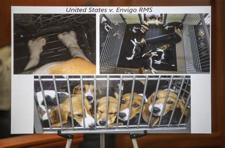 Jenelle Evans Slammed For Mistreatment of Animals Once Again