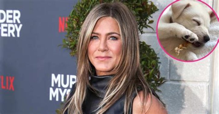 Jennifer Aniston introduces her new rescue puppy, Lord Chesterfield, on IG