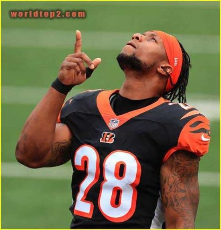 Joe Mixon Bio (Wiki) 