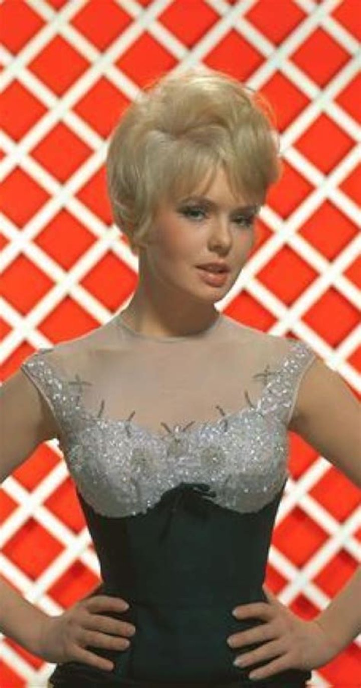 Joey Heatherton Bio (Wiki) 
