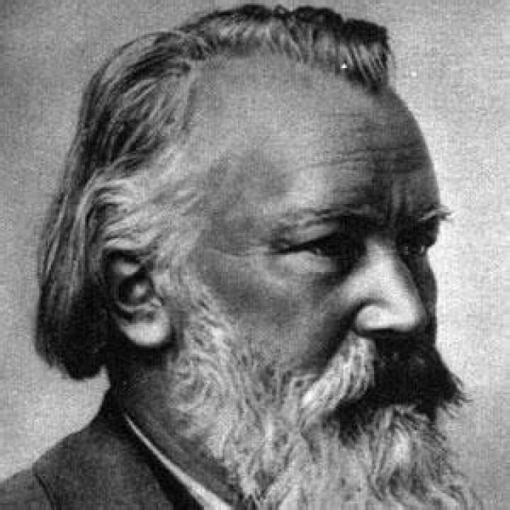 Johannes Brahms - Trivia, Family, Bio