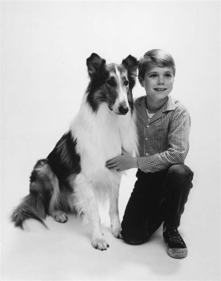 Jon Provost - Age, Family, Bio
