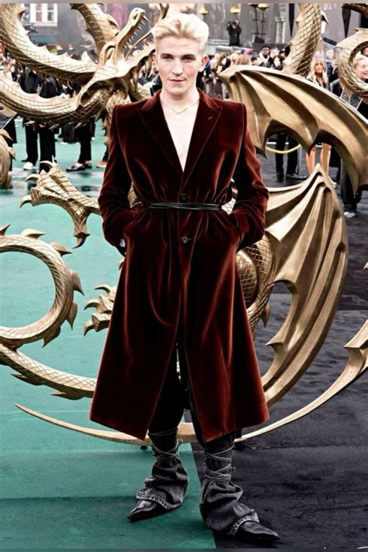 Joni Mitchell Height, Weight, Net Worth, Age, Birthday, Wikipedia, Who, Instagram, Biography