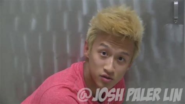 Josh Paler Lin Bio (Wiki) 