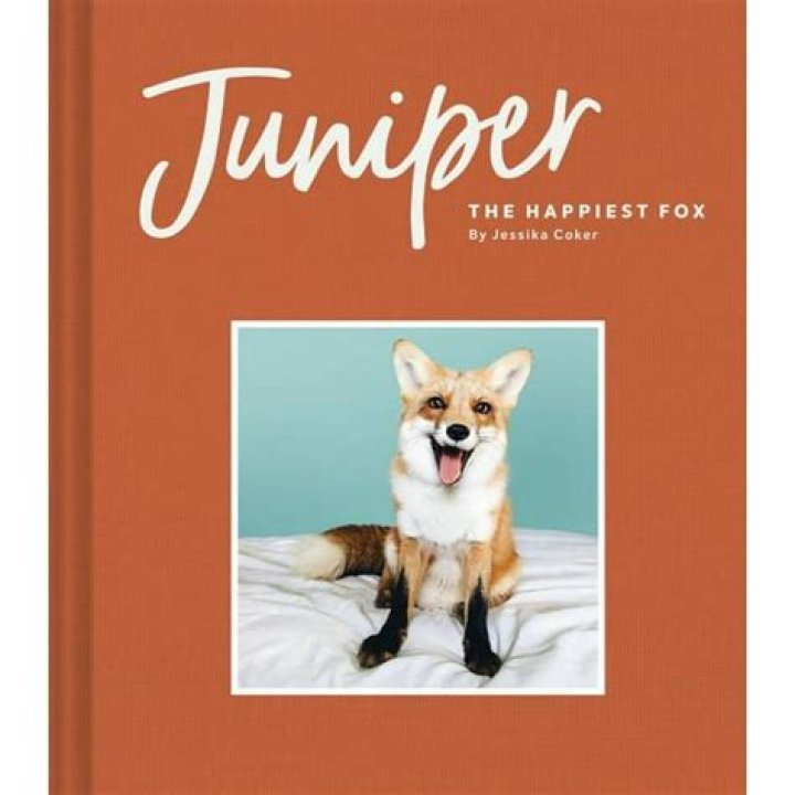 Juniper The Happiest Fox with 1.2 Million Followers