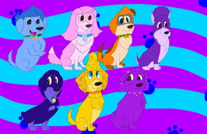 Justin Bieber gave away his puppy Todd, who needs an $8,000 hip surgery