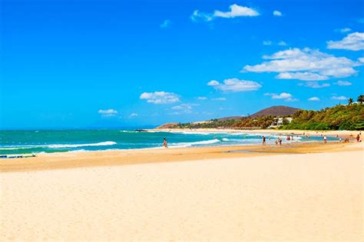 Justin Phan - Age, Family, Bio