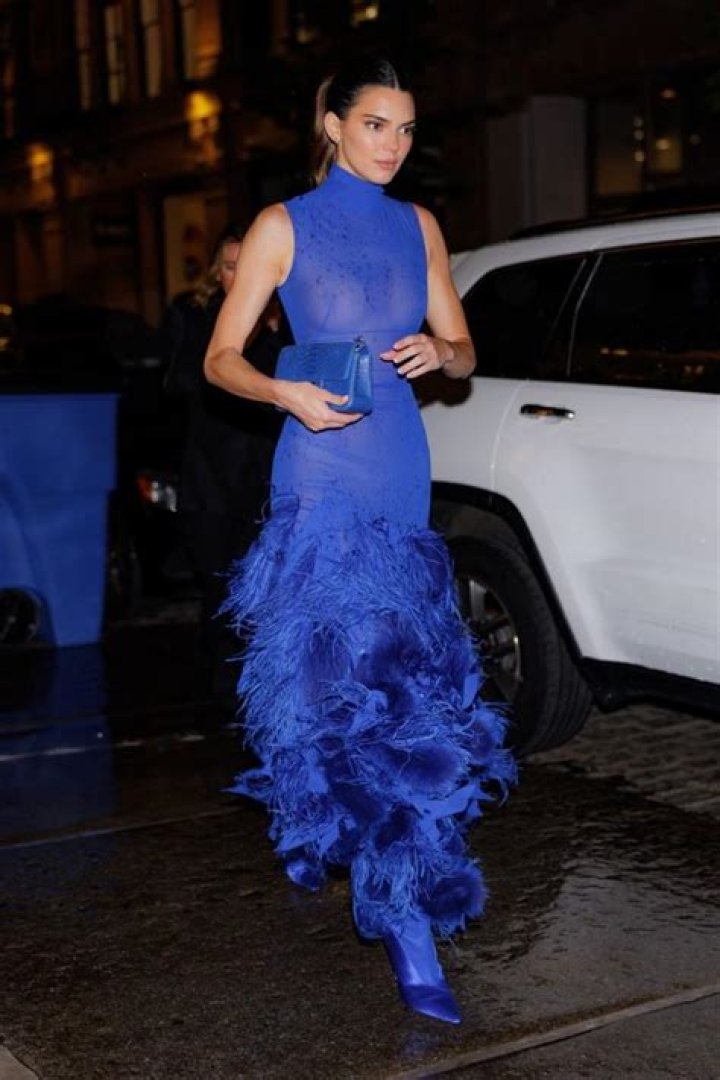 Kendall Jenner in Alexandre Vauthier at the CFDAs: feathered fug or cute?