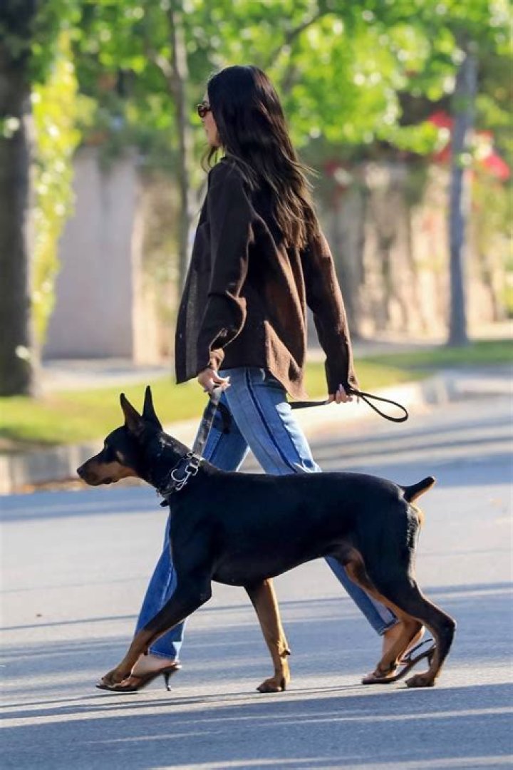 Kendall Jenner’s Doberman apparently nipped a little girl at lunch in LA