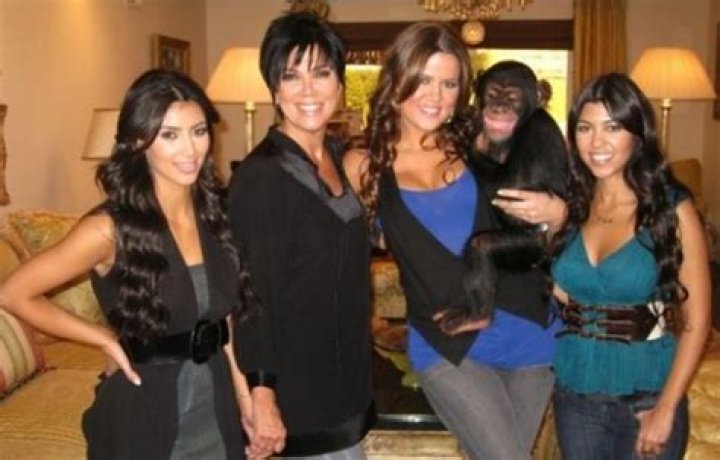 Kim Kardashian sorry for chimp adoption, says it was just rented for week