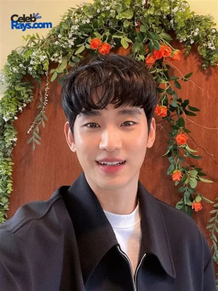 Kim Soo Hyun Bio (Wiki) 