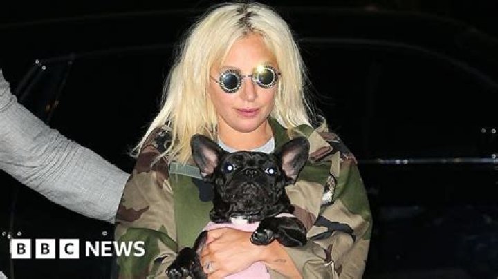 Lady Gaga’s dognapper arrested 5 months after being released by mistake