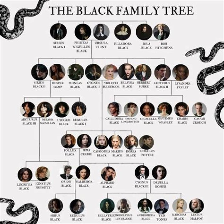 Leon Black – Family, Family Tree