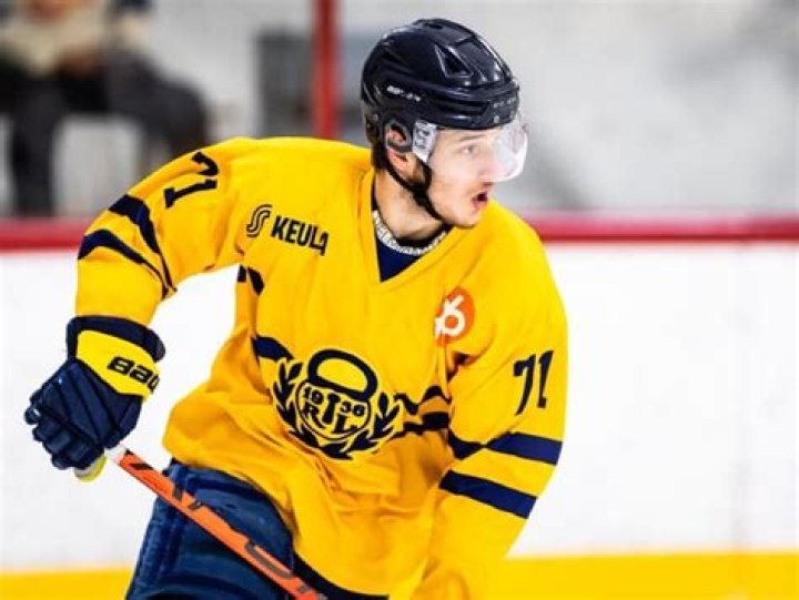 
Libor Nemec Brother Oliver Nemec Is A Hockey Player At HK Skalica 