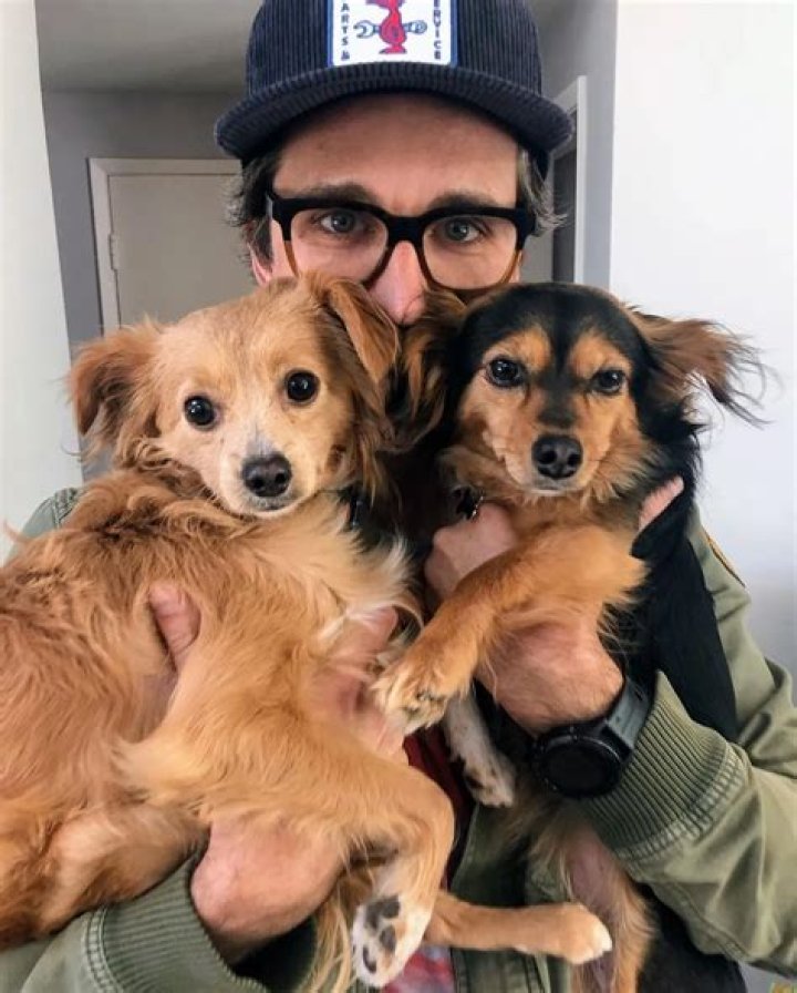 Link Neal Pets - Celebrity Pets