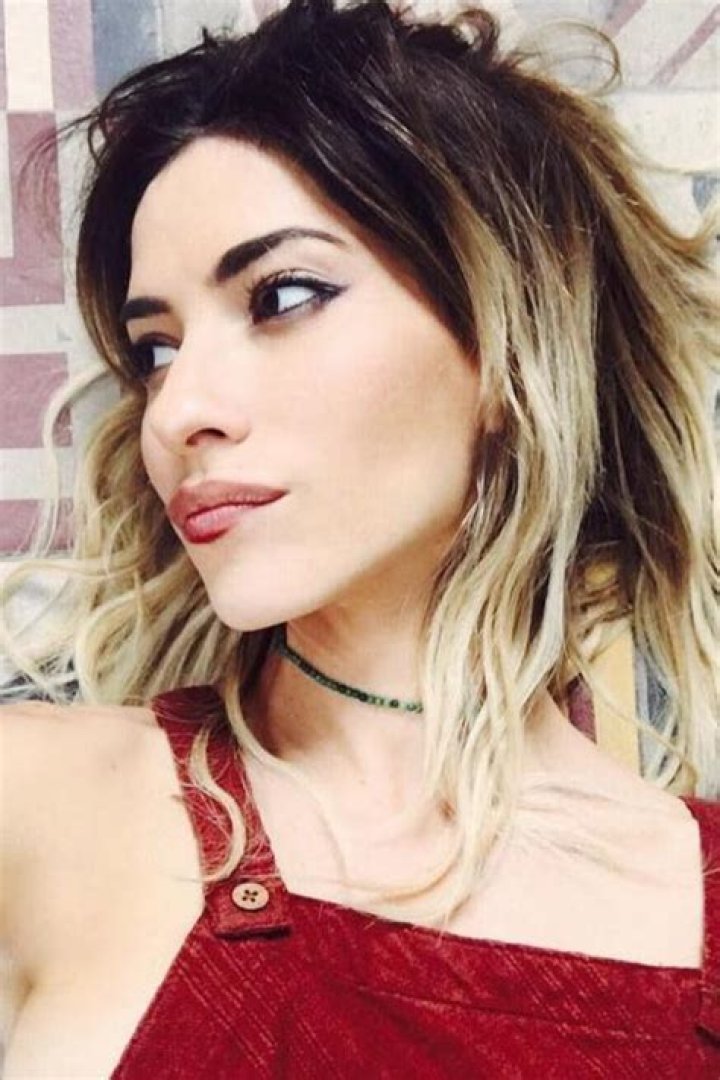Lisa Origliasso Bio (Wiki) 
