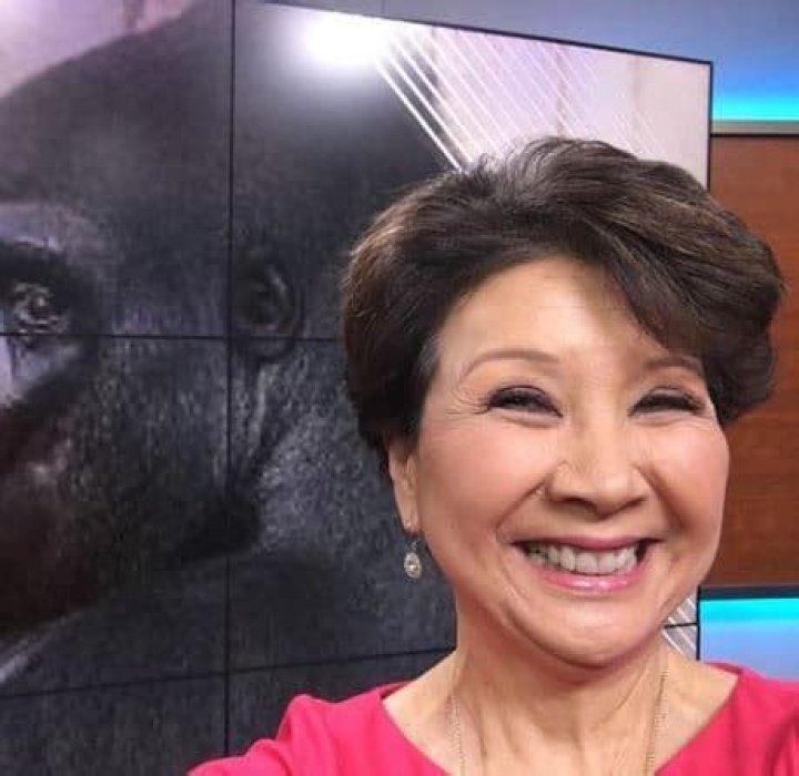 Lori Matsukawa Bio (Wiki) 