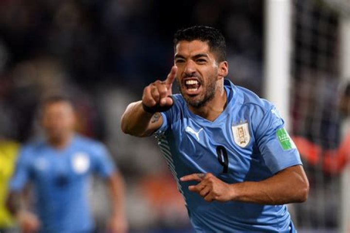 Luis Suarez Net Worth - Wiki, Age, Weight and Height, Relationships, Family, and More