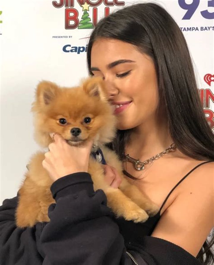 Madison Beer Pets - Celebrity Pets