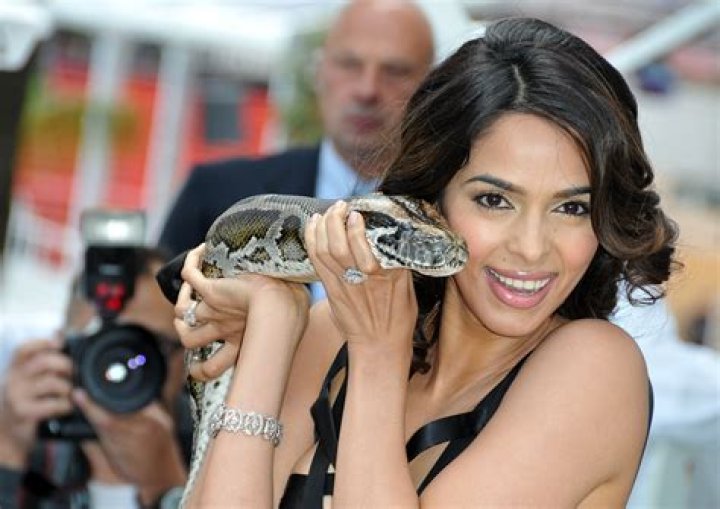 Mallika Sherawat Net Worth - Wiki, Age, Weight and Height, Relationships, Family, and More