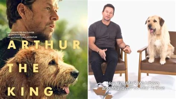 Mark Wahlberg and His Canine CoStar From ‘Arthur the King’ Promote Pet Adoption in New Video